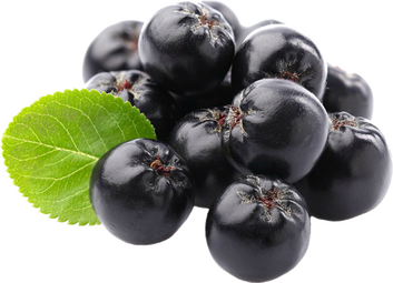 Aronia